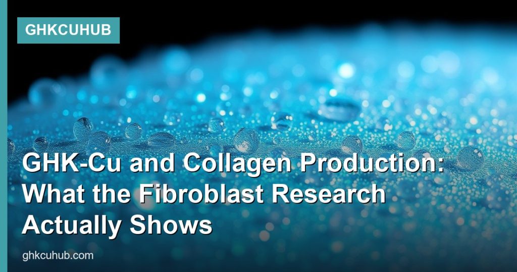 GHK-Cu and Collagen Production: What the Fibroblast Research Actually Shows - GHKCuHub
