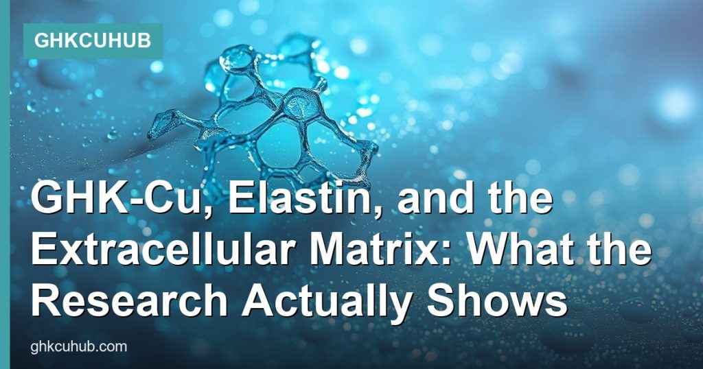 GHK-Cu, Elastin, and the Extracellular Matrix: What the Research Actually Shows - GHKCuHub