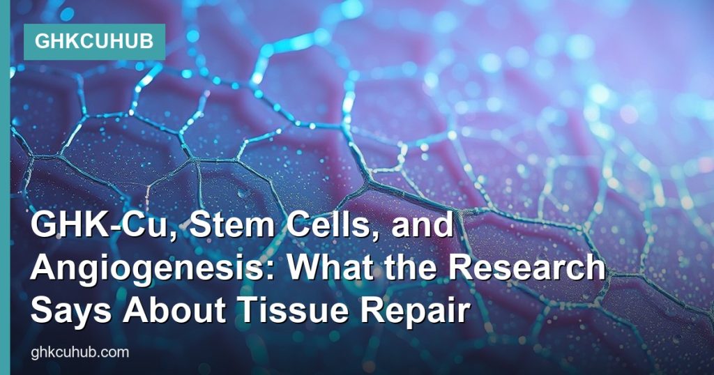 GHK-Cu, Stem Cells, and Angiogenesis: What the Research Says About Tissue Repair - GHKCuHub