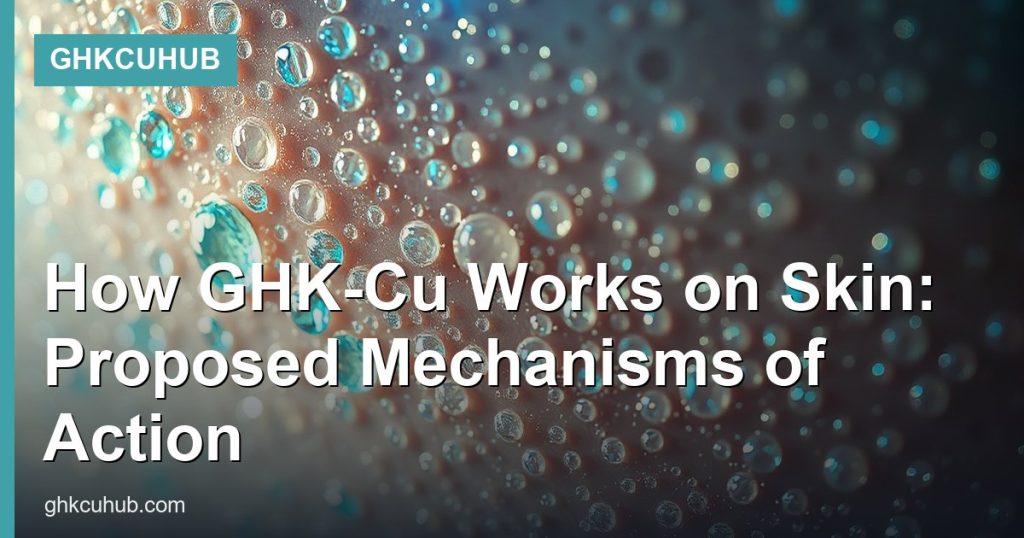 How GHK-Cu Works on Skin: Proposed Mechanisms of Action - GHKCuHub